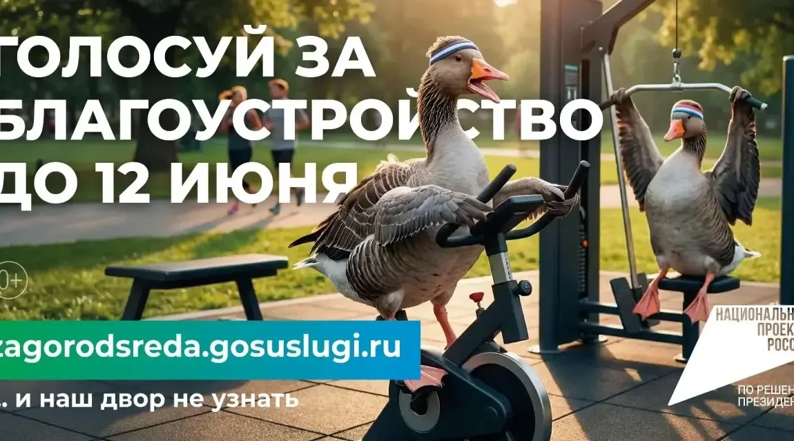 Стартовало голосование за объекты благоустройства