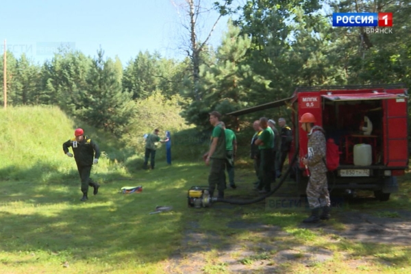 В Брянске пройдет конкурс «Лучший лесной пожарный»