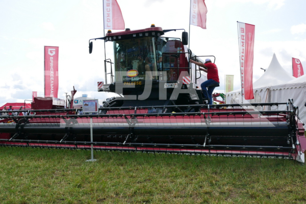 В селе Кокино пройдет выставка «День Брянского поля — 2024» (0+)