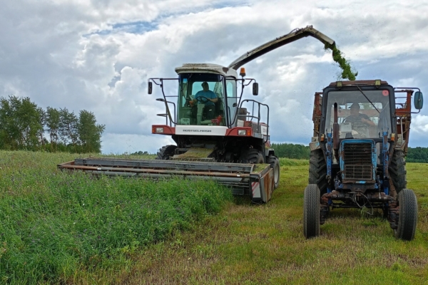 В Гордеевском районе идёт заготовка кормов