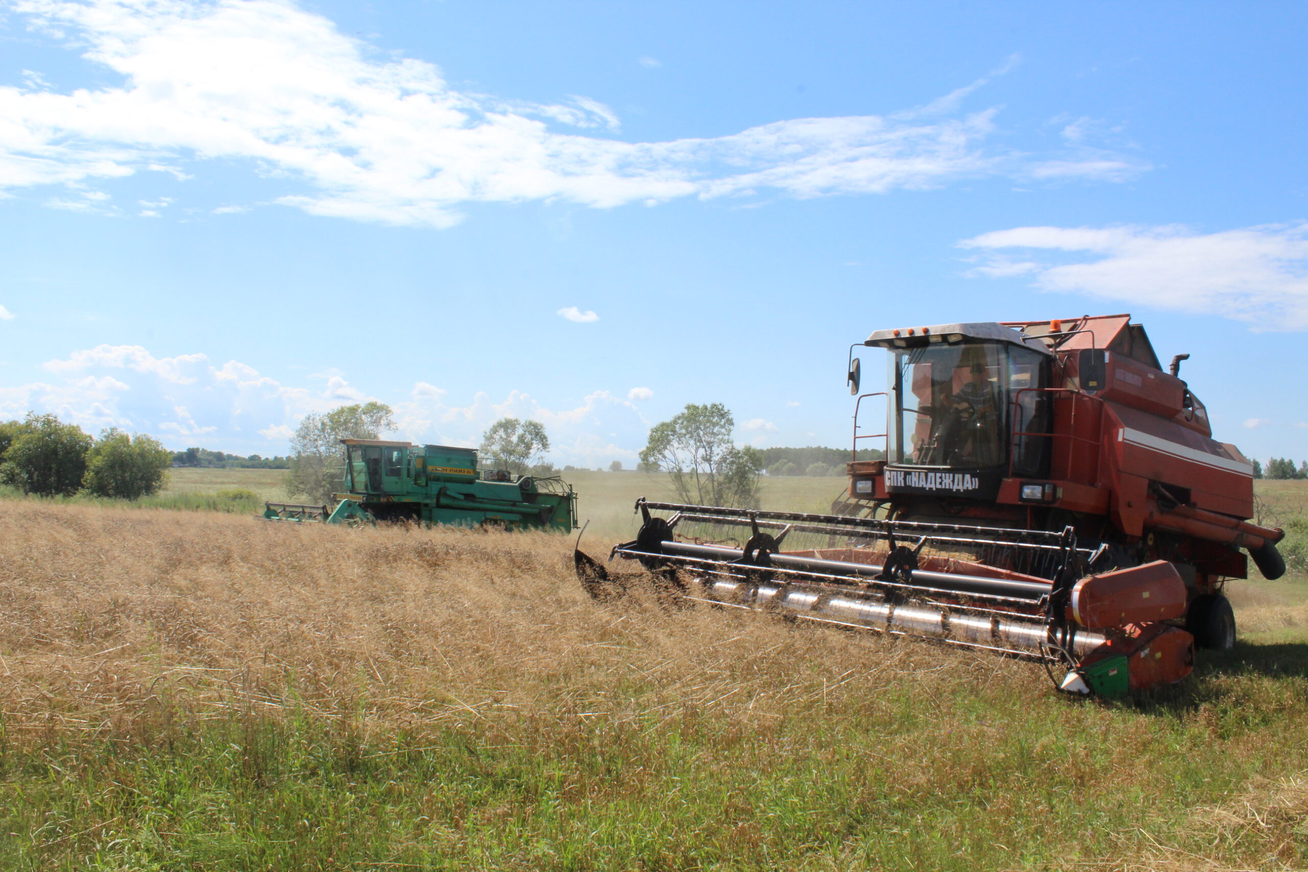 Первые тонны зерна нового урожая поступили на склад в СПК «Надежда»