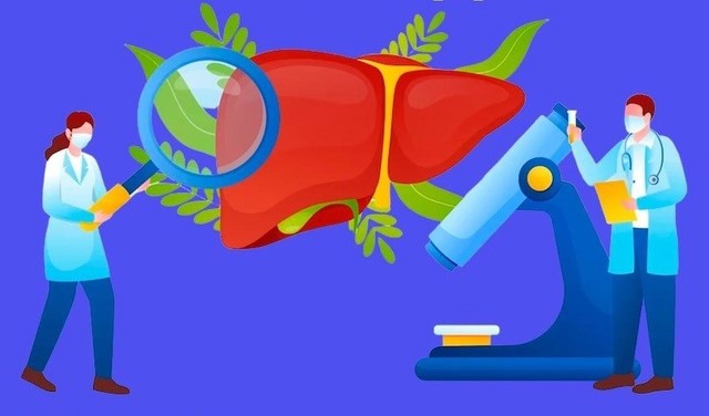 Врач терапевт советует позаботится о печени