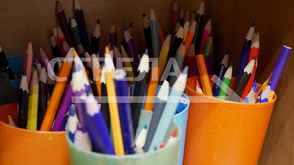 Брянские семьи готовят школьников к учебному году