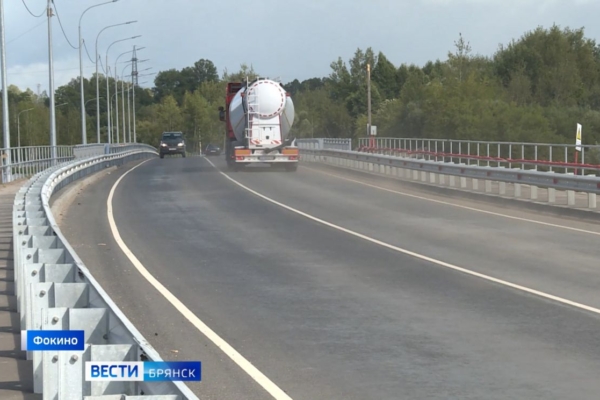 На Брянщине в Фокино открыт для движения новый мост через Болву