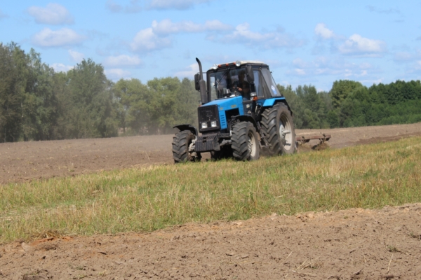 Работы в поле продолжаются