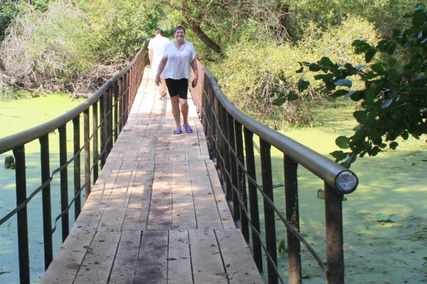 По следам наших публикаций