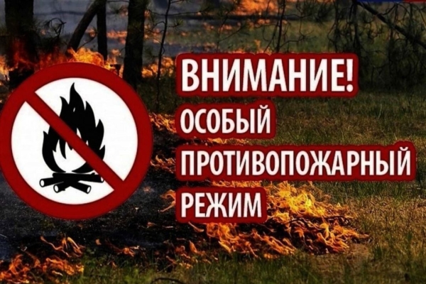 В лесах Брянской области введен особый противопожарный режим