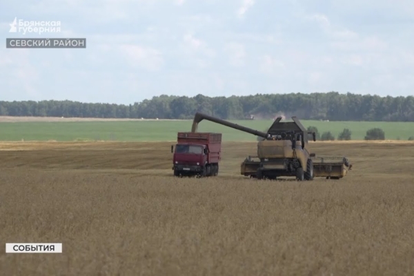 В Севском районе Брянской области продолжается уборка урожая