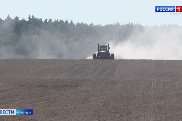 Брянские аграрии завершают подготовку почвы к зиме