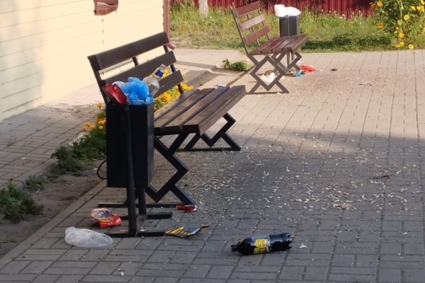 Чисто там, где не мусорят