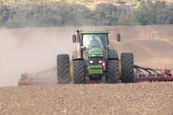 На Брянщине завершают озимый сев зерновых культур