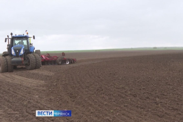 Аграрии Брянской области продолжают озимый сев зерновых культур