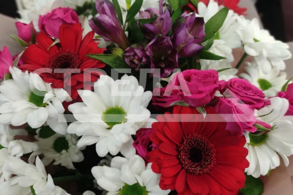 Брянщина в числе лучших региов по реализации программы «Пушкинская карта»