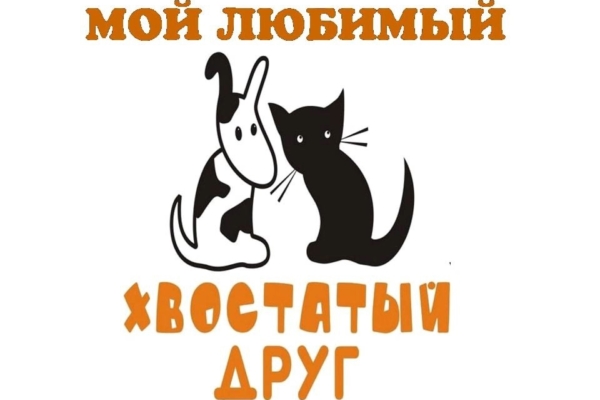 Мой любимый хвостатый друг