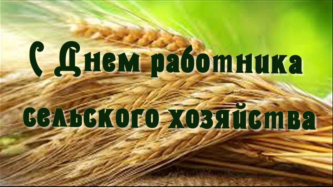 Уважаемые труженики полей, ферм, ветераны сельского хозяйства Гордеевского района!