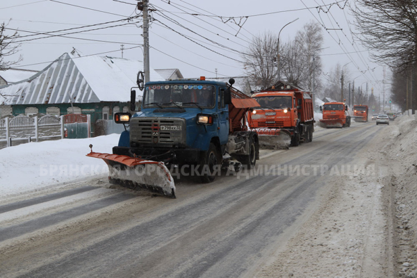 В Брянске вывезли 500 тонн снега