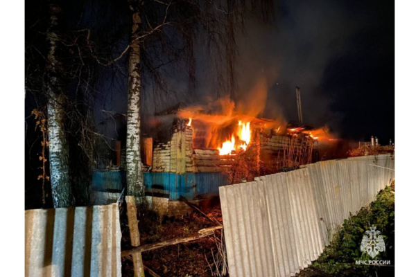 Пожар в Погарском районе погубивший маму и двоих детей