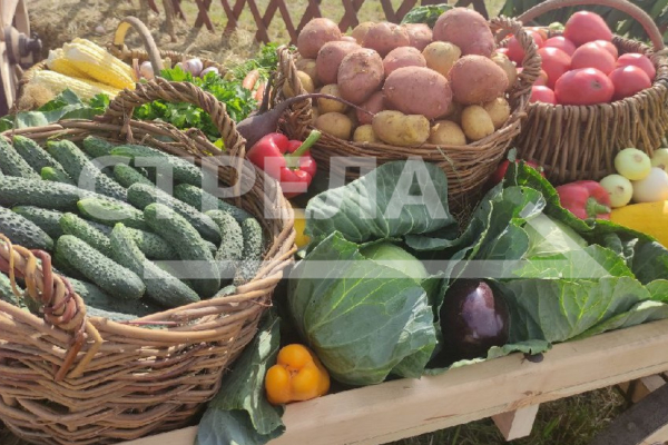 В Брянске продолжают работать ярмарки выходного дня