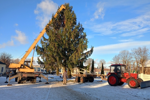 В Гордеевке установили главную районную елку