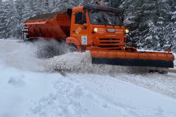 В Брянской области продолжается обработка дорог
