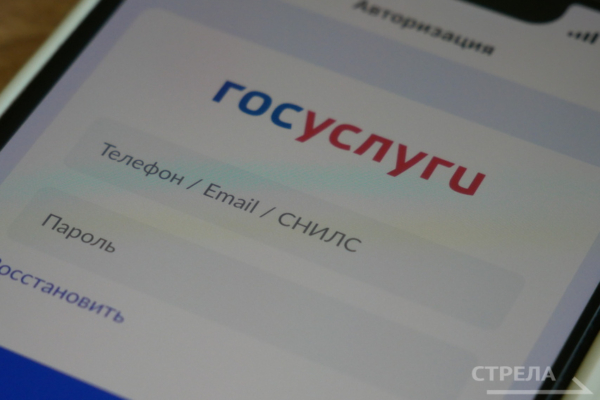 Жителя Брянщины рассказали, как удобно пользоваться приложением Госуслуги.Дом
