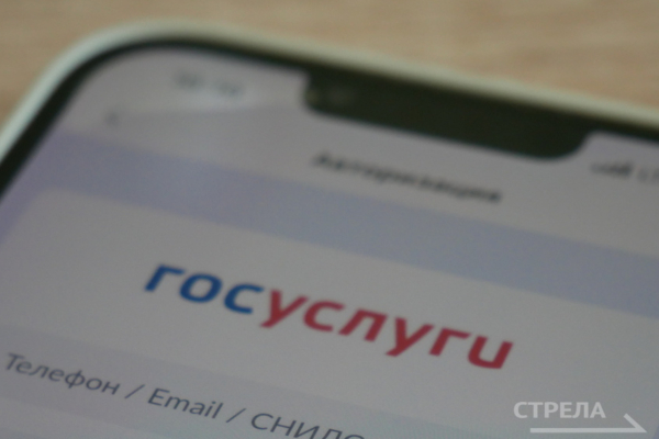 Жителям Брянщины сообщили о новых возможностях в приложении «Госуслуги Дом»