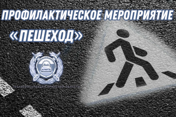 Оперативно-профилактическое мероприятие «Пешеход»