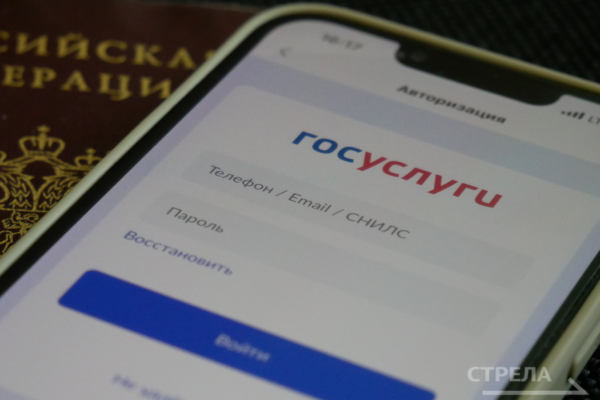 С приложением «Госуслуги Дом» жизнь брянцев стала намного проще