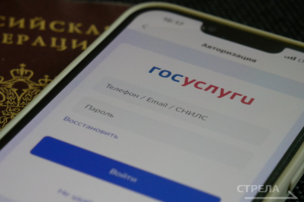 Приложение «Госуслуги Дом» предлагает широкий спектр функций для брянцев