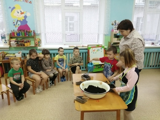 На окошке огород