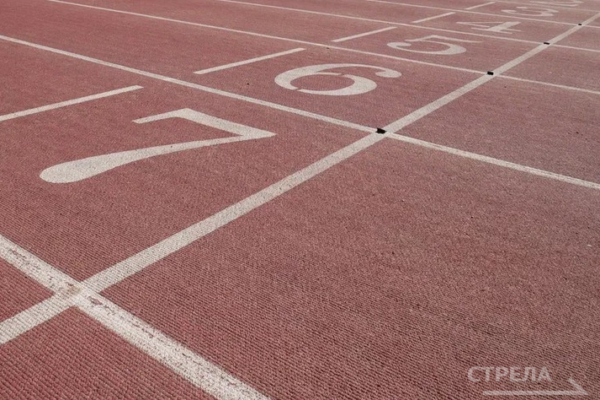 Спортсменка из Брянска стала победителем соревнований по легкой атлетике (12+)