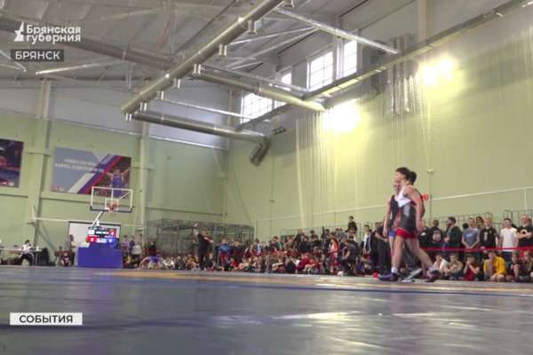 Турнир по вольной борьбе в честь героя СВО Дмитрия Седнева прошел в Брянске