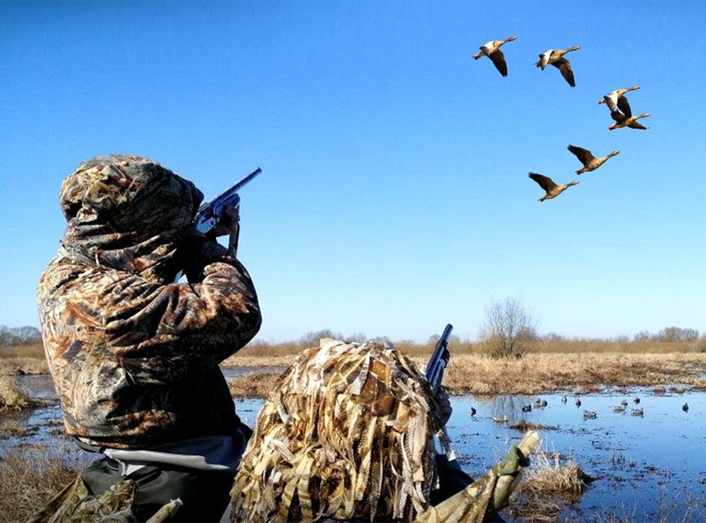 29 марта 2025 года в Брянской области откроется весенняя охота на пернатую дичь