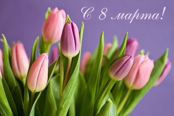 Милые женщины!