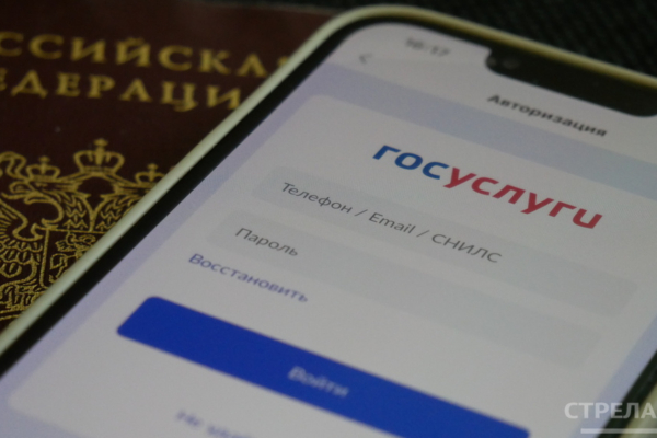 Брянцы могут решать бытовые вопросы благодаря приложению «Госуслуги Дом»