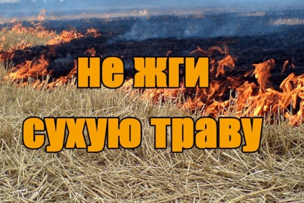 Весенний пал травы — опасная традиция!