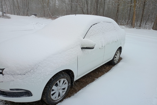 В Гордеевском районе в середине марта идёт снег