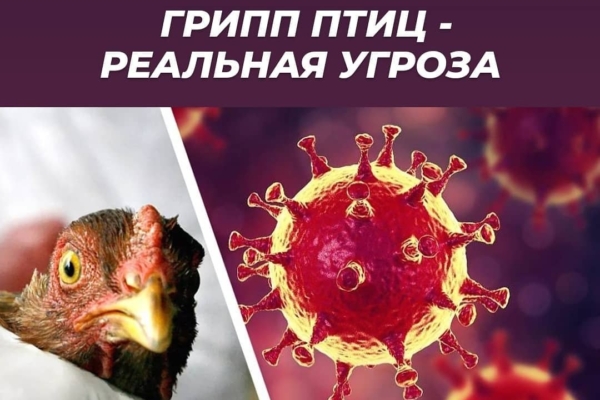 Новости ветеринарии