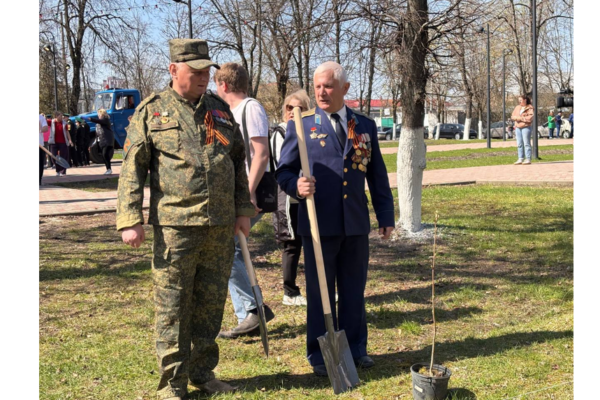 В Володарском районе Брянска появилась рябинова аллея