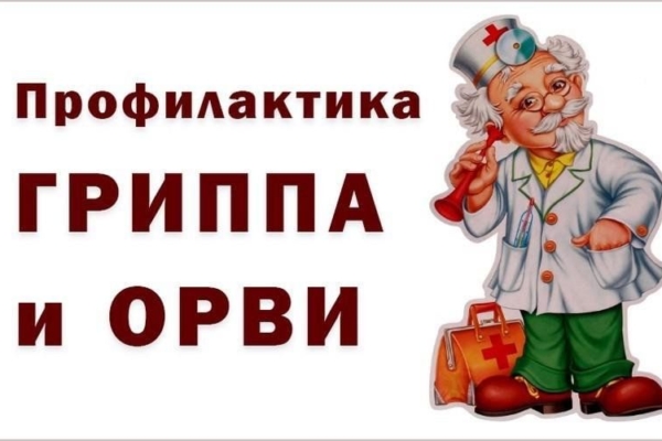 Грипп, ОРВИ: проблемы профилактики и лечения