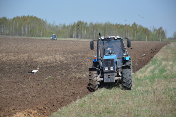 На селе вся работа в почёте