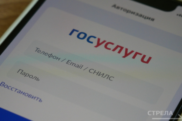 Жителям Брянщины помогает Госуслуги.Дом в управлении домом