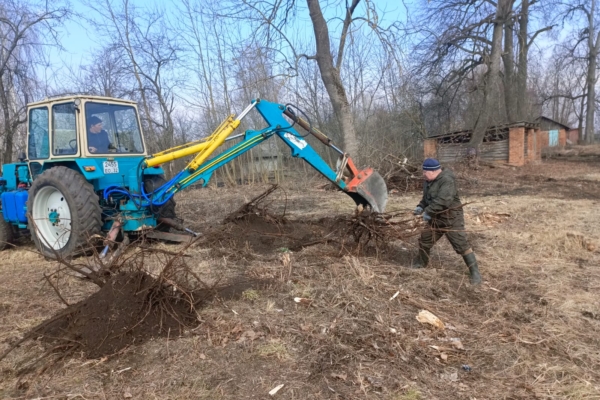 Практика с большим будущим