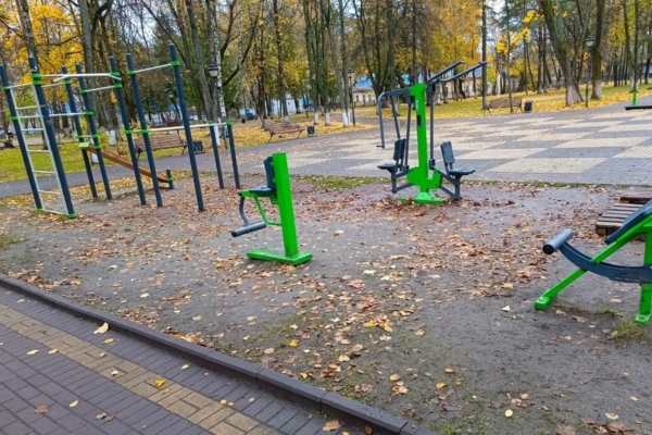 В Фокинском районе Брянска благоустроят спортивную площадку