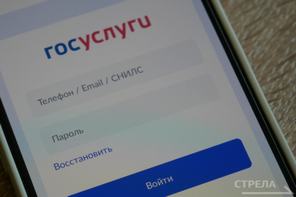 Жителей Брянщины приложение Госуслуги.Дом радует своей простотой и функционалом