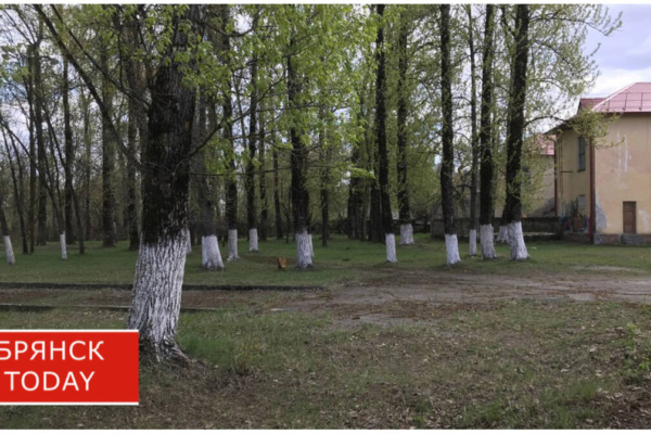 На Брянщине жители выбирают объекты для благоустройства