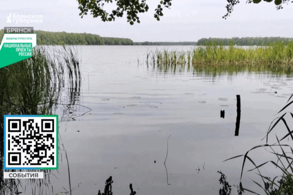 В Брянске парк «Олимпийский» вышел в лидеры голосования для благоустройства