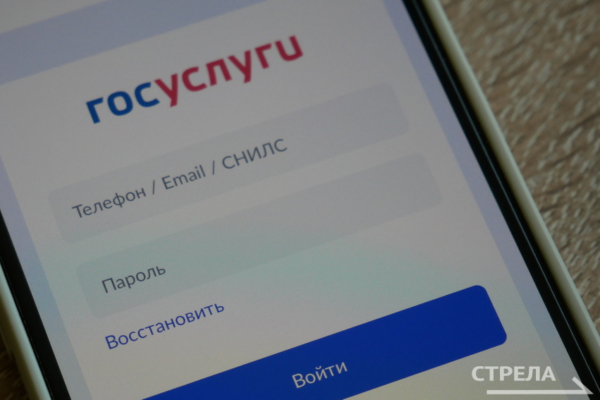 Жителям Брянщины помогает приложение Госуслуги.Дом в решении бытовых вопросов