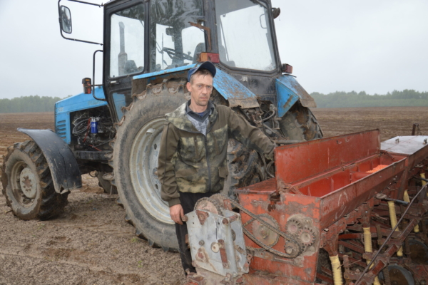 Кукуруза в хозяйстве — не обуза