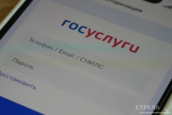 Приложение «Госуслуги.Дом» помогает брянцам в решении вопросов ЖКХ